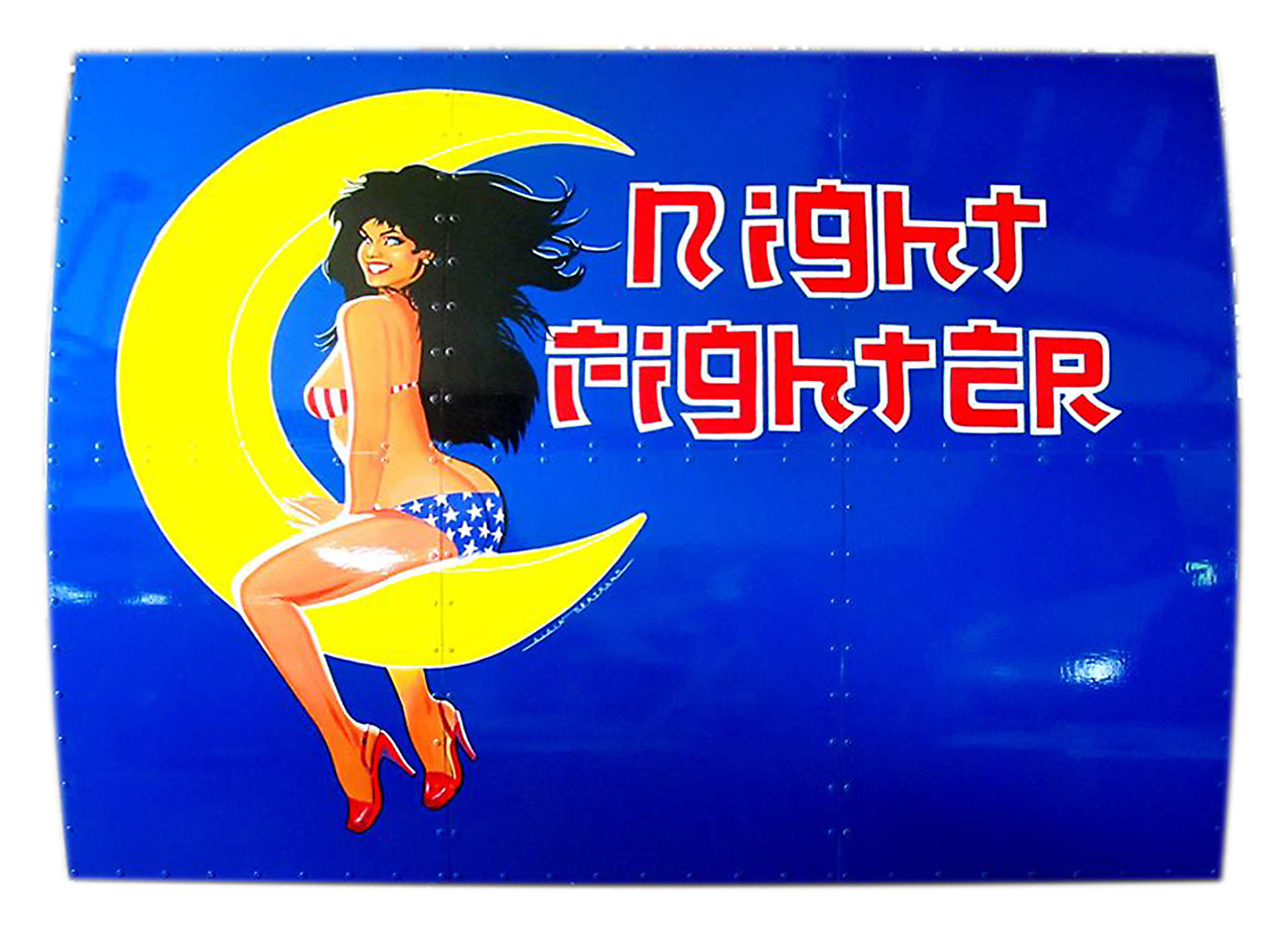 NOSE ART NIGHT FIGHTER 120 X 160 CM